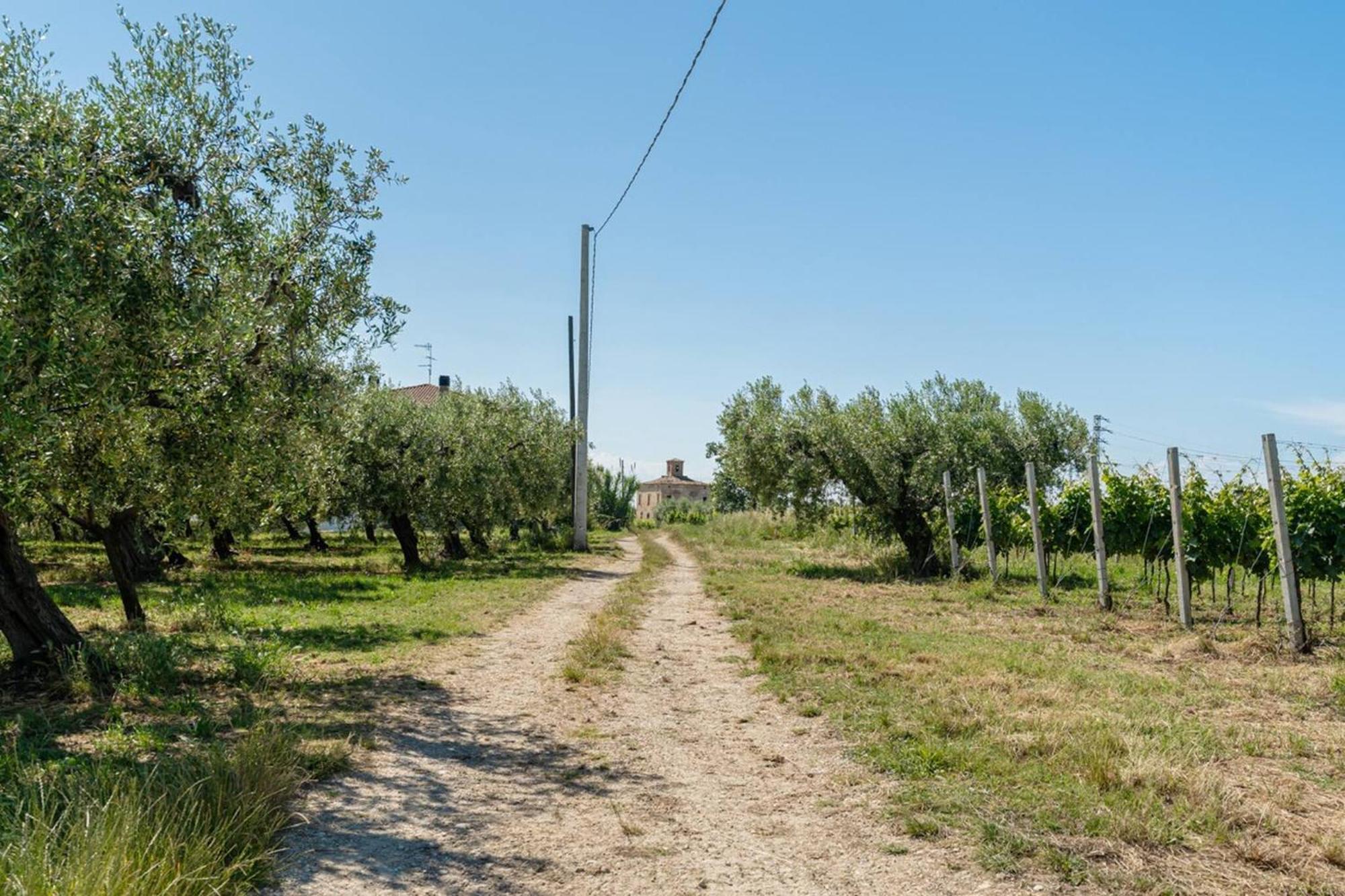 Villa Turin - Yourplace Abruzzo Торино-ди-Сангро Экстерьер фото